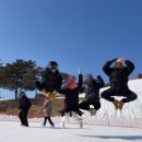 스피드넷 | 홍천 비발디파크 눈썰매장 성인 넷 내돈내산 일요일 후기(스노위랜드 주차/할인/어트랙션 순위)