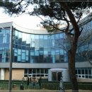 드림153어린이집 이미지