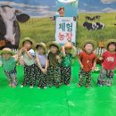 석암농장 이미지