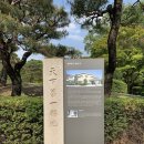 문암삼거리 경찰초소 옆 | 청와대 관람 후기 (5월 12일)