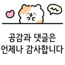 크린스마트(운동화) 이미지