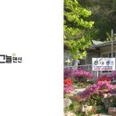 아라독채펜션 이미지