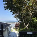 스테이 무 | 태안 감성숙소 안면도 풀빌라 스테이무요일 내돈내산 후기