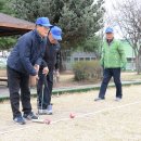 음성전천후게이트볼장 이미지