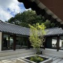 스테이 조각밤 이미지