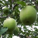 구름이쉬어가는농원 이미지