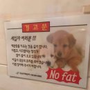 꿈의궁전 | 본좌의 머물고싶은 청정도시 철원의 서면 방문기
