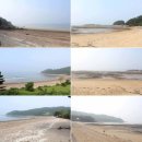 점3리농장 네이버블로그