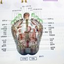 현대신발 이미지