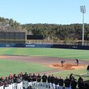 스프링그루밍 이미지