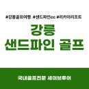 파인골프 | 강릉 바다로 가자 샌드파인골프패키지 다녀와서 후기 분석합니다