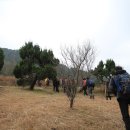 남해-243 이미지