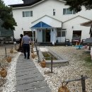 팔공감자 | 대구 팔공제면 방문 후기｜육회비빔밥 먹으러 갔다가 감자전에 반한 곳
