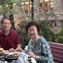 [미국 텍사스 여행기(1)] 샌 안토니오 리버워크(San Antonio River Walk) 이미지