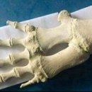 고래등어린이집 이미지