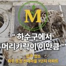 산내마을1단지 경로당 | 운정 산내마을 1단지 입주청소 후기｜창틀 곰팡이·화장실 곰팡이·걸레받이 안쪽 오염까지 말끔하게...