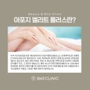 비앤에스채널 네이버블로그