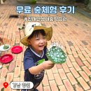 진해청소년수련원 | 창원 숲체험활동 진해만 생태숲 학습관 무료 체험학습 솔직후기