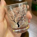 소메루 이미지