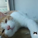 릴리호텔 이미지