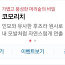 주식회사 코모리치