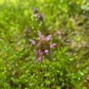 서호농장 | 서울대학교 수원 수목원 생태프로그램 후기, 아이 반응이 달랐던 이유 (엄마 기준)