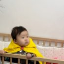 한마루떡 | 조카 돌잔치 동탄역 파티멜로우 참석 후기