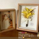 별밤부란치 | 24년 1월 2월 일상 모음zip
