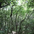 인성리-2 | [제주걷기] 대정읍 동일리, 안성리, 인성리, 보성리