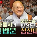 BTN불교TV 종정예하 성파대종사, 문광스님, 준한스님, 양산통도사 참선대법회 이미지