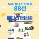 한방웰니스마을 | 주말에 뭐하지? 웰니스 즐길래! 🎱🎱