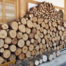 율포펜션 이미지