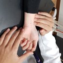 내공한의원 네이버블로그