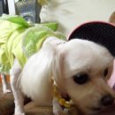 까꿍이 하우스 이미지