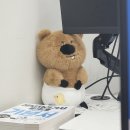 뽑기사관학교 이미지