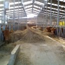 백상농장 이미지