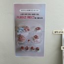 마미플라워 | 둔촌동역케이크 쁘띠플라 어버이날 선물 추천 앙금플라워 떡케이크