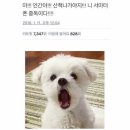 (주)은성 네이버블로그