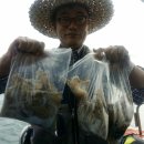 삼성호 이미지