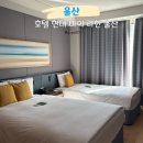 울산 동구 호텔 / 현대 바이 라한 울산 (디럭스 트윈) 후기