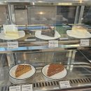 아쿠아수족관 | 의정부 카페 추천 아쿠아랑 수족관카페 후기 말렌카케익까지 완벽했던 힐링 공간