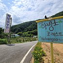 하방소 포레스트 이미지