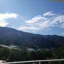 하와이장 이미지