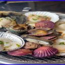 지금조개 이미지