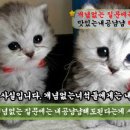냠냠 이미지