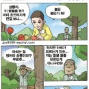 아씨 이미지