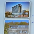 진경인터내셔널