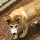 상혁농장 이미지