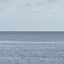 소정마을화장실 이미지