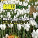 밋델리